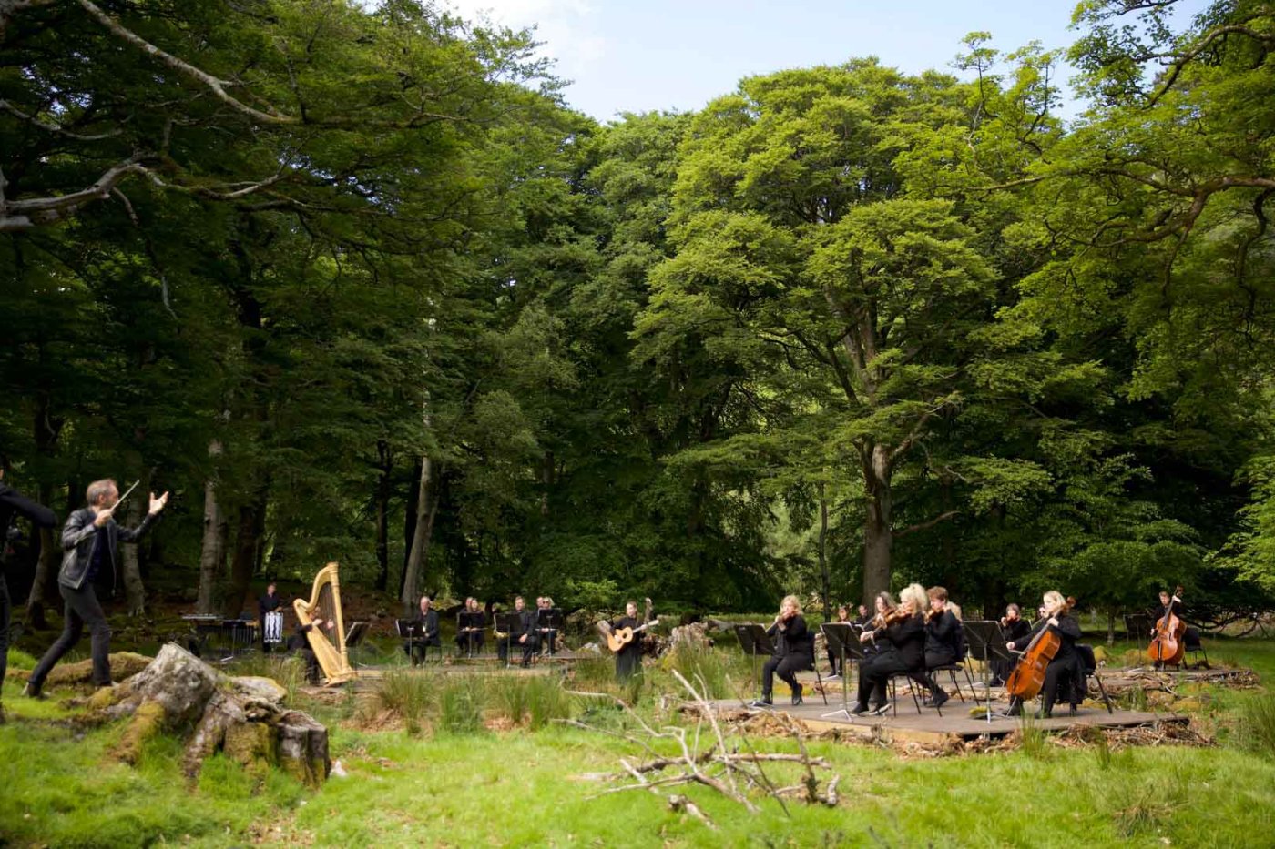 Das RTÉ Concert Orchestra