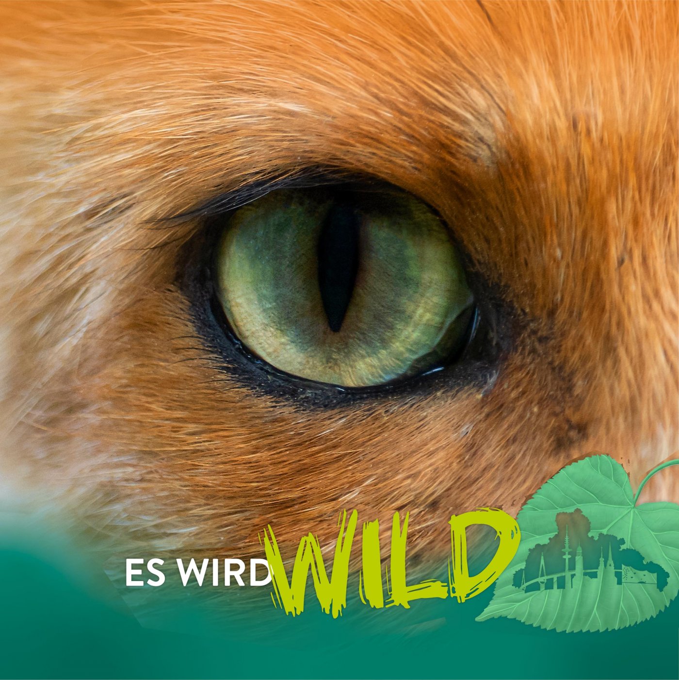 Motiv Langer Tag der StadtNatur 2025 – Gestaltung: Annica Lill