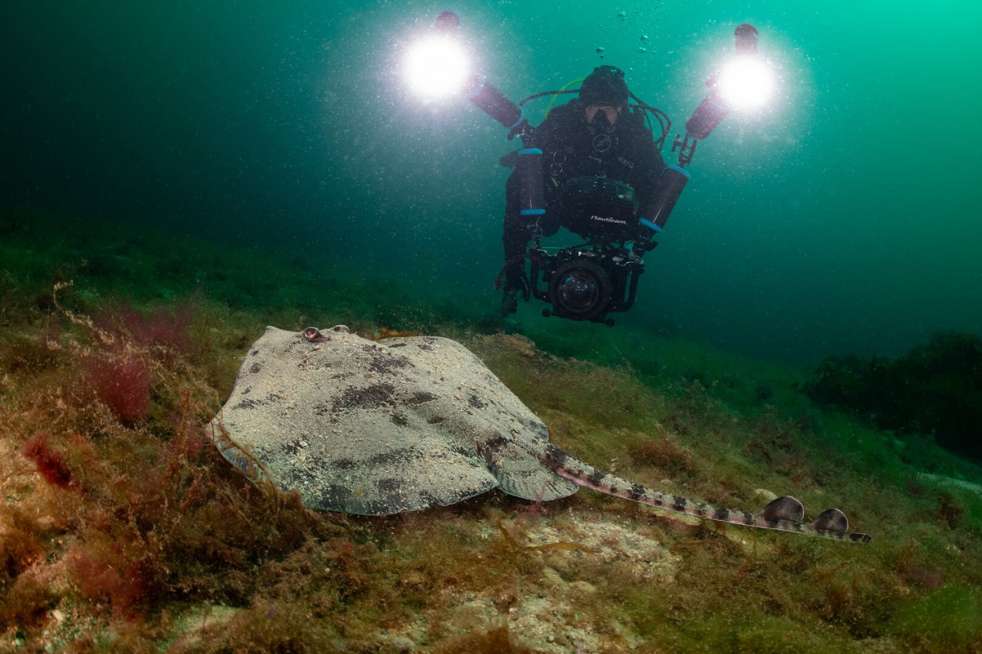 Peter van Rodijnen bei Filmaufnahmen.
