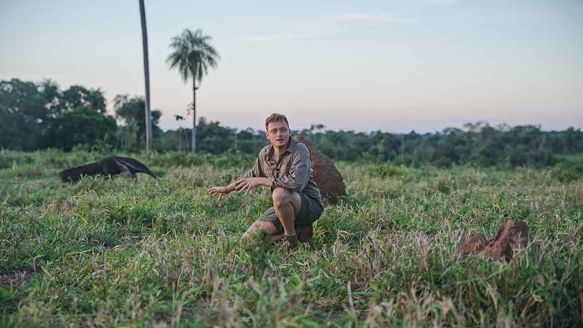 Ben Mirgel zeigt hier einen Großen Ameisenbär (im Hintergrund).