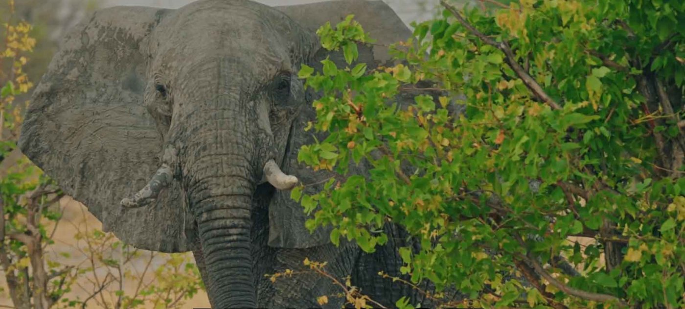 Ausschnitte aus dem Trailer der Website