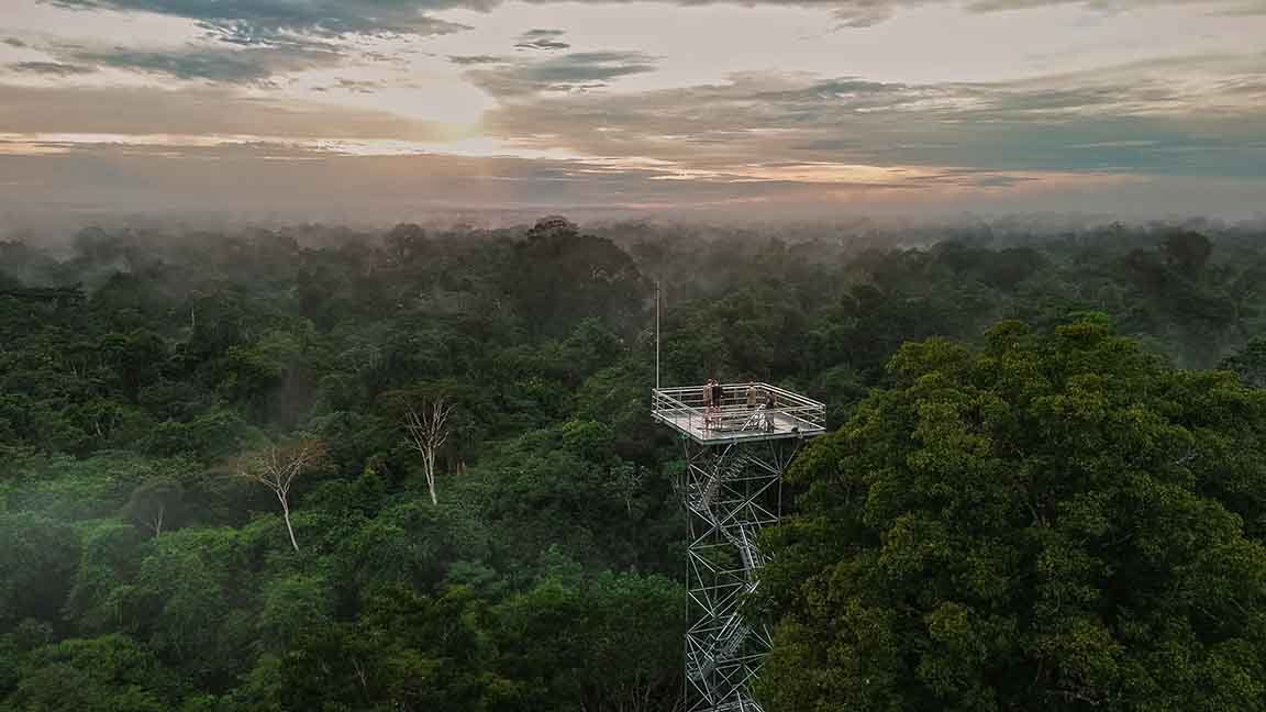 Tief in der Wildnis Brasiliens