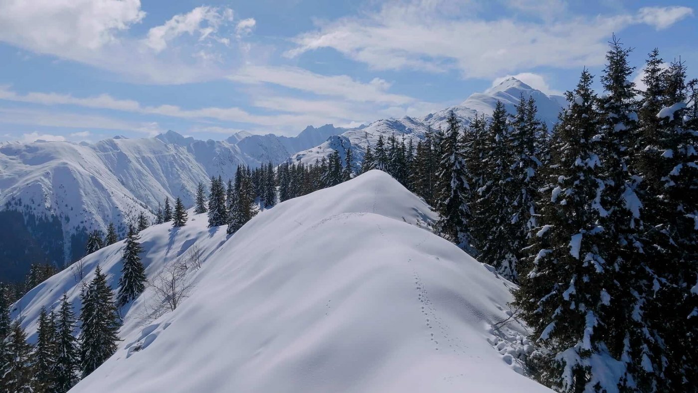 Blick auf die Gebirgskette der Karpaten.