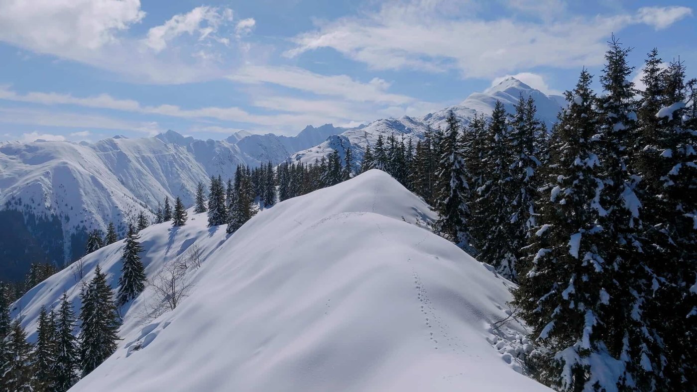 Blick auf die Gebirgskette der Karpaten.