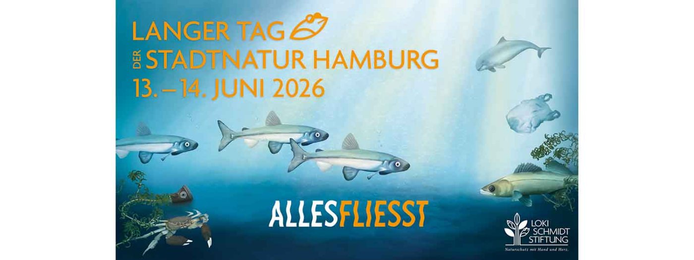 Der Lange Tag der StadtNatur Hamburg wird seit 2011 von der Loki Schmidt Stiftung organisiert. Grafik: Annica Lill