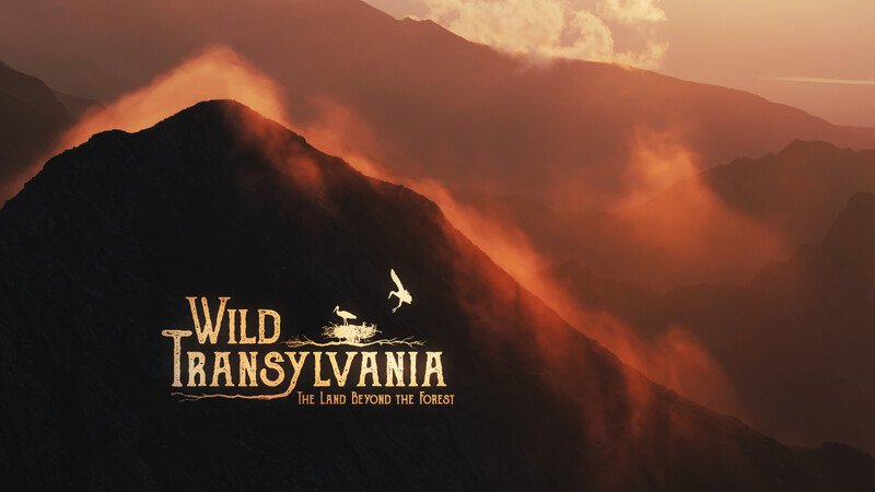 Transsilvanien – Draculas Wildnis
Ein Film von John Murray, Jamie Fitzpatrick