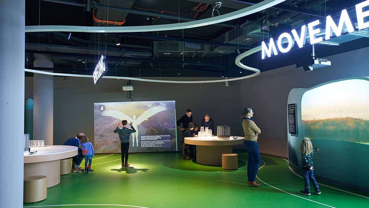 Im Erdgeschoss der Ausstellung – Bereich Bewegung / Movement