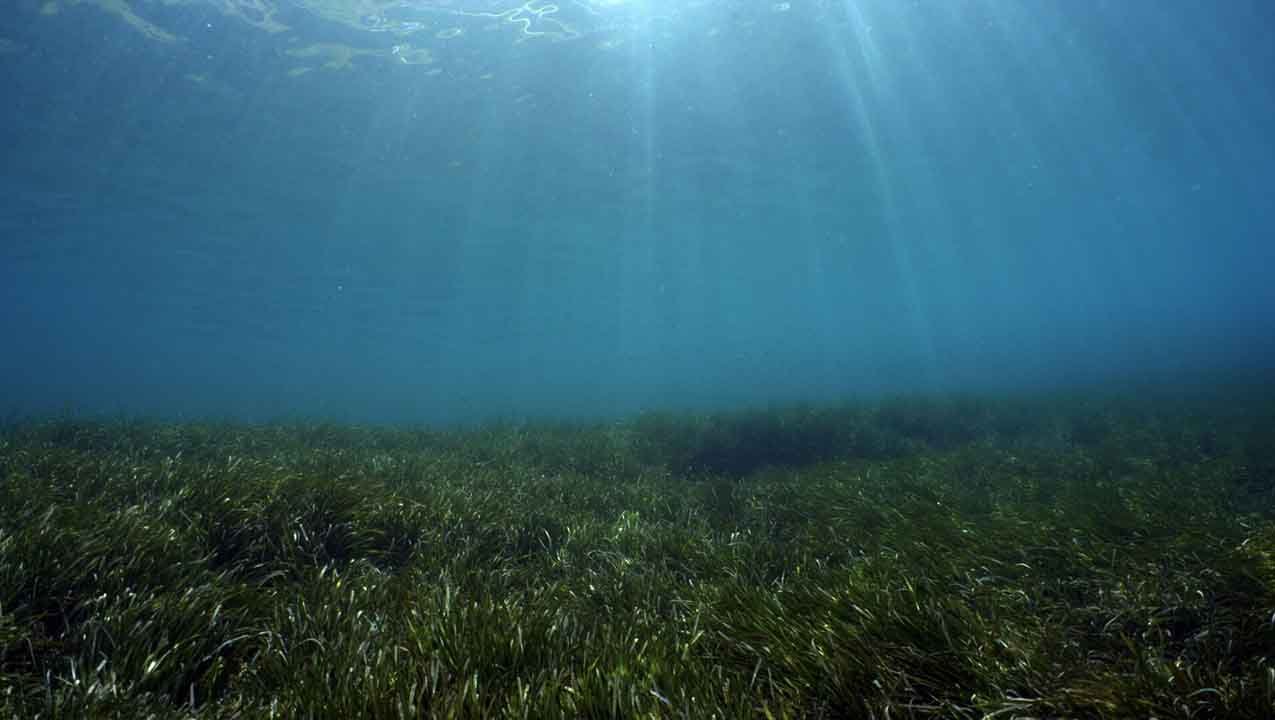 Kristallklares Wasser