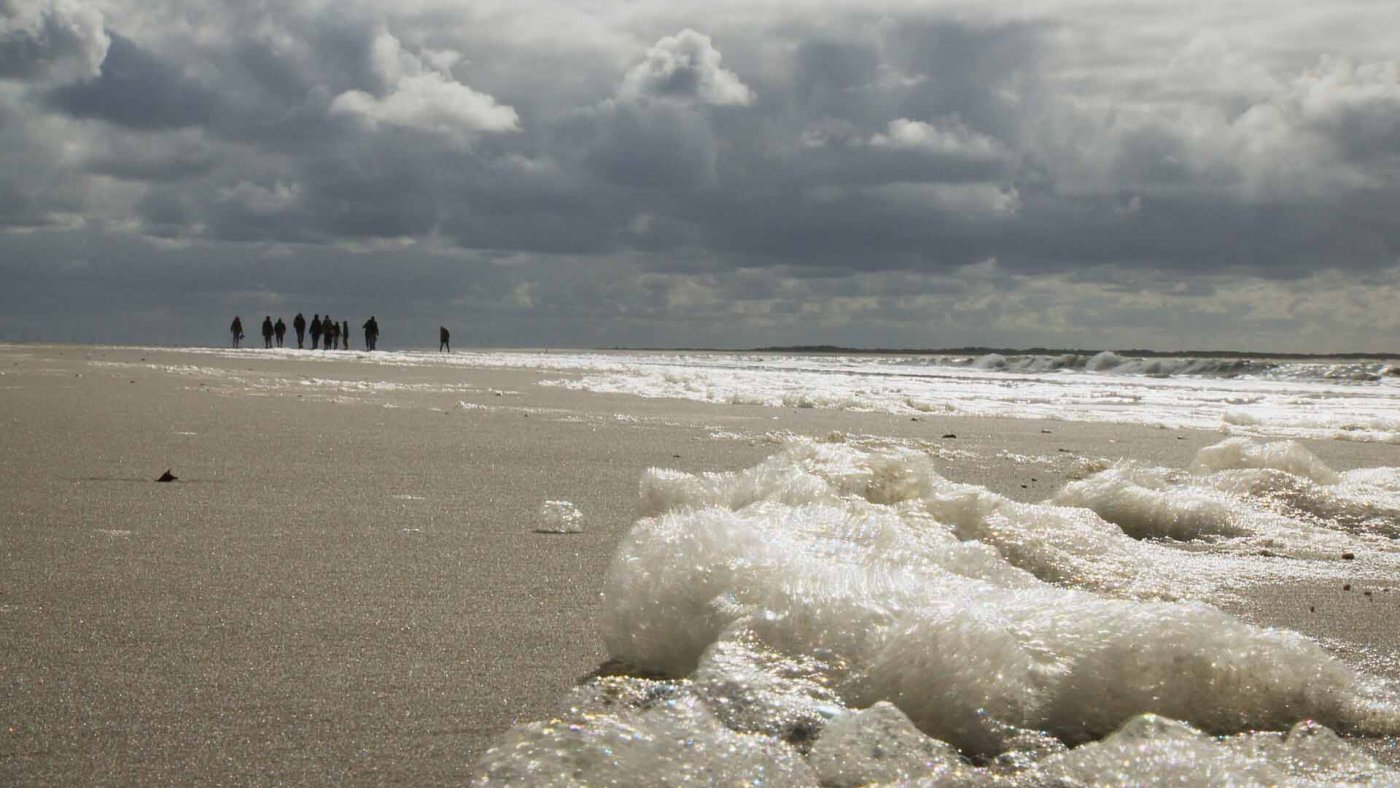 Weitläufiger Sandstrand und eine reiche Tier- und Pflanzenwelt – das prägt Spiekeroog.