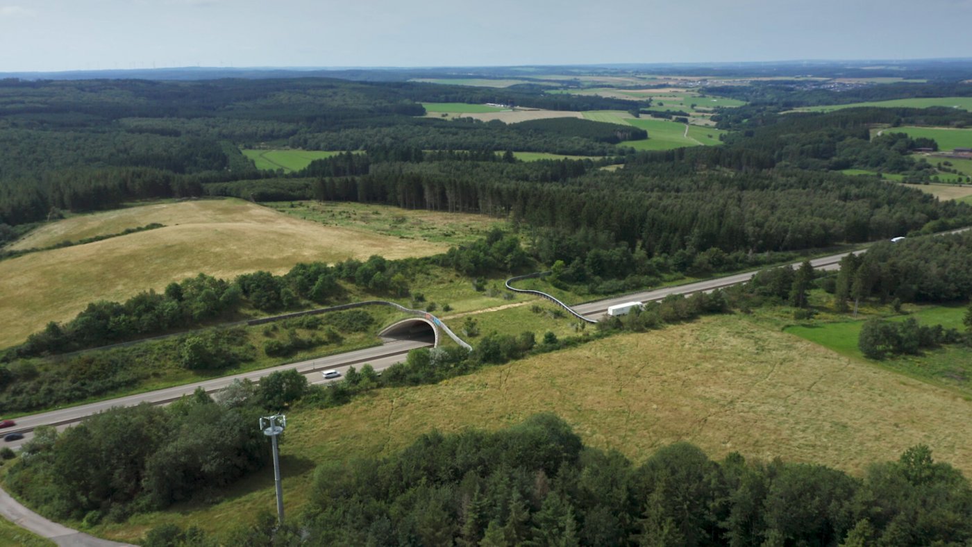 Mit solchen Wildtierpassagen werden Lebensräume zugänglich gemacht und Wildtiere können gefahrlos Straßen überqueren.