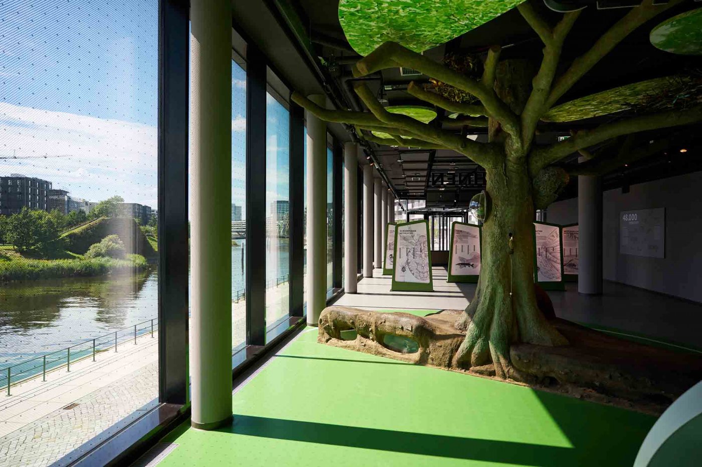 In der Ausstellung: Lebensraum Baum
