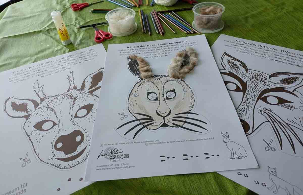 ... oder nach eurem Geschmack noch verschönern. Wildtiermasken © Museum für Naturkunde Berlin