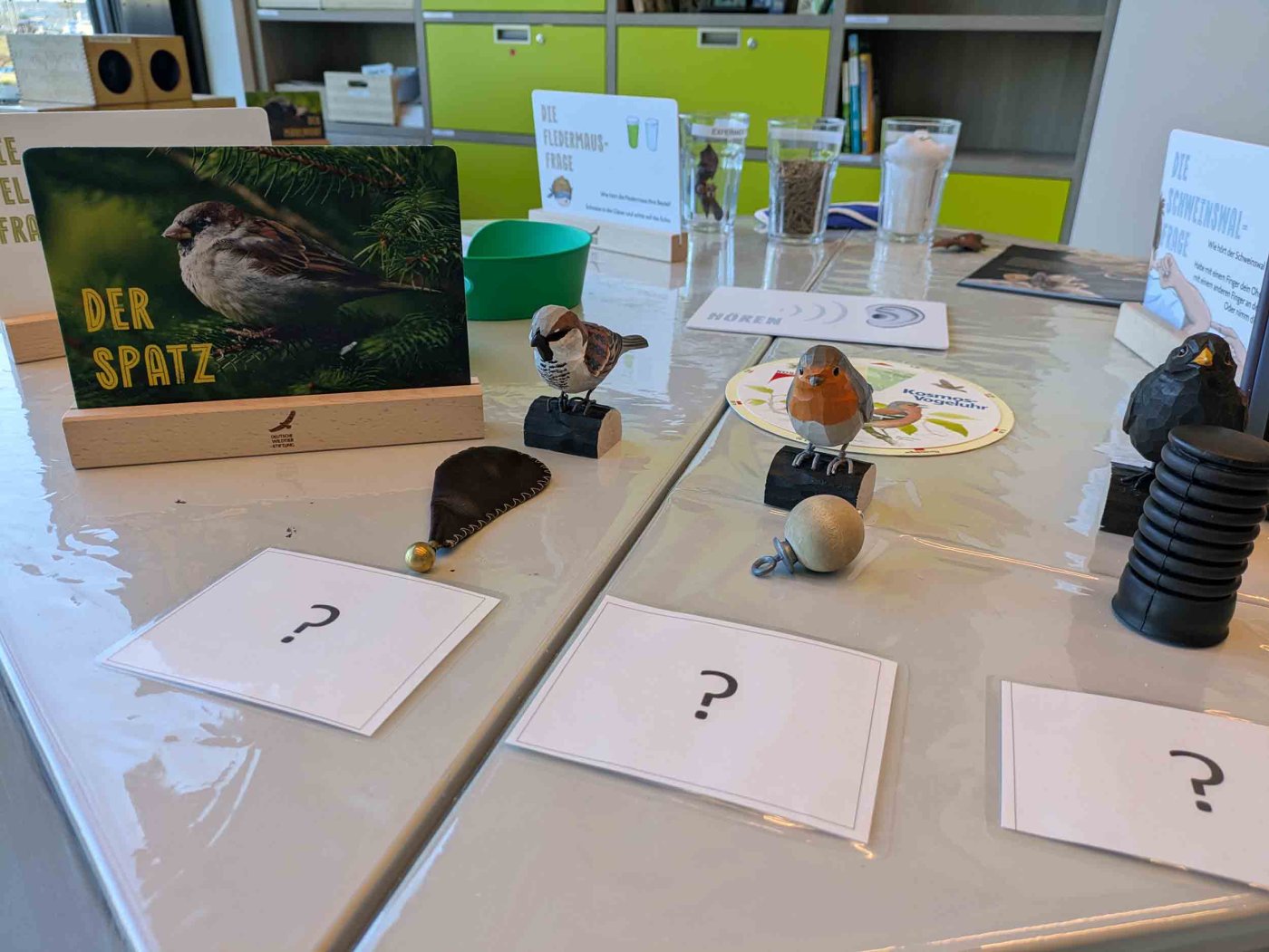 Was wisst ihr über den Spatz? In unserem Herbstferienprogramm gibt es viel Wildtier-Wissen.  Foto: Julia Reichert
