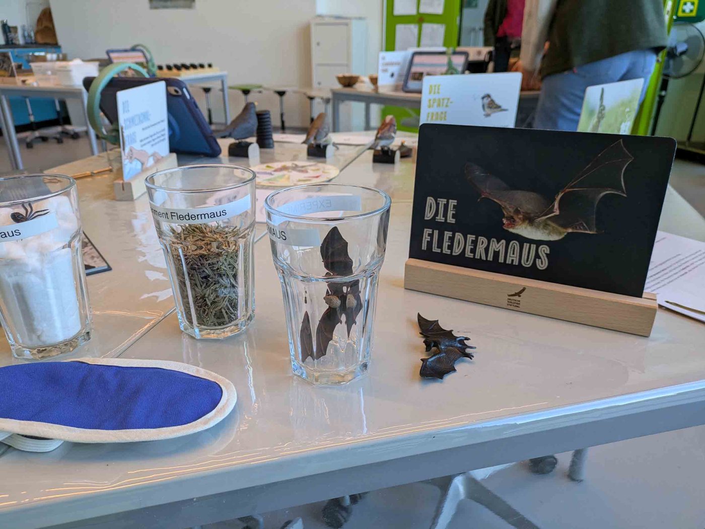Auch rundum die Fledermaus gibt es viel zu entdecken. Foto: Julia Geuder
