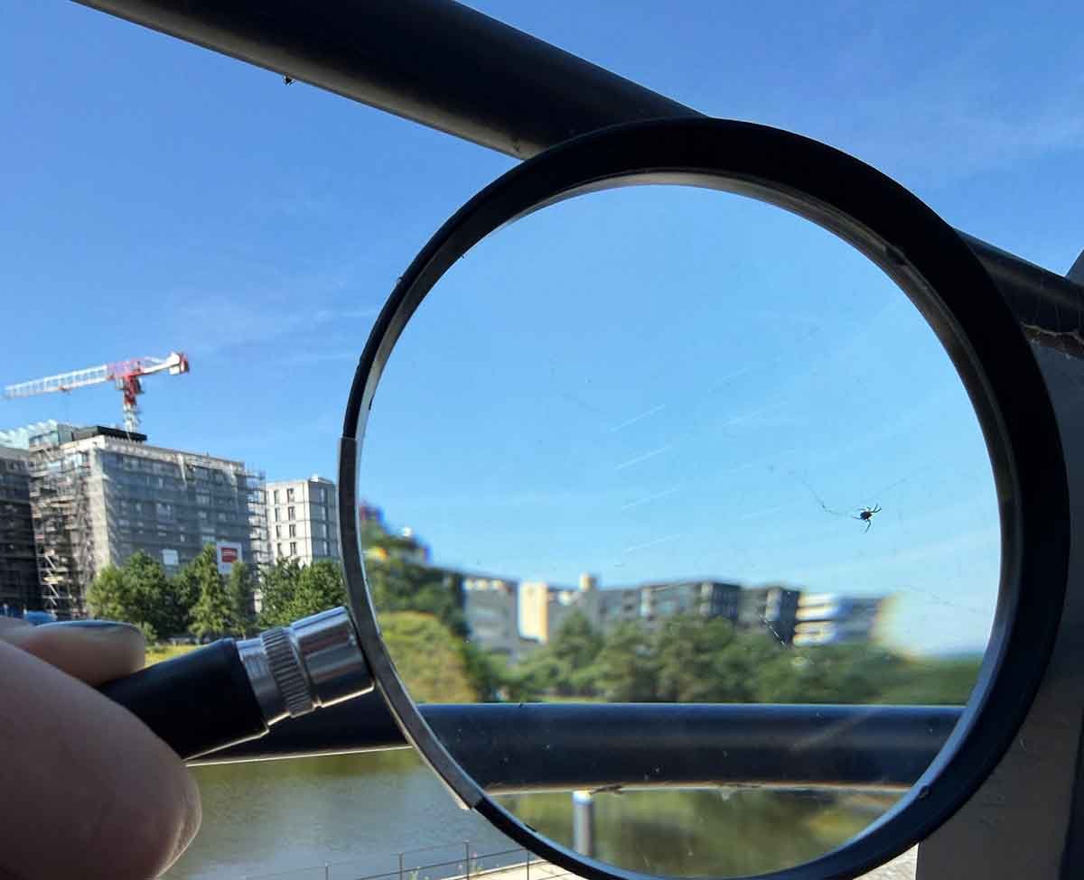 Hast du schon entdeckt wer sich hier versteckt?